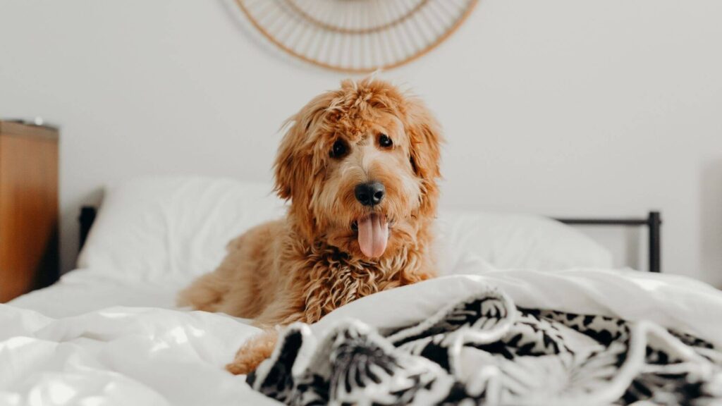 Why Some To Dos Are Not Crossed Off You List