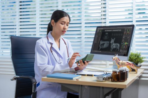 female-veterinarian-sitting-at-her-desk-calculating-the-cost-of-pet-care