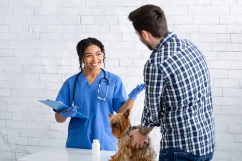 female-vet-smiling-while-talking-to-male-pet-owner-with-dog