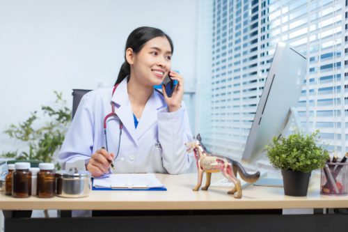 remote-veterinarian-sitting-at-her-desk-talking-on-the-phone-to-a-client