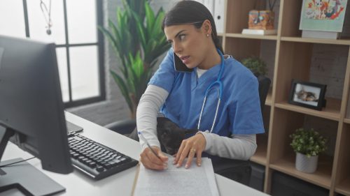 female-vet-multitasking-while-talking-on-her-phone-with-a-chihuahua-dog-in-her-lap