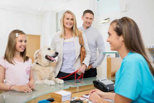 female-veterinary-receptionist-talking-with-dog's-family-at-reception-desk